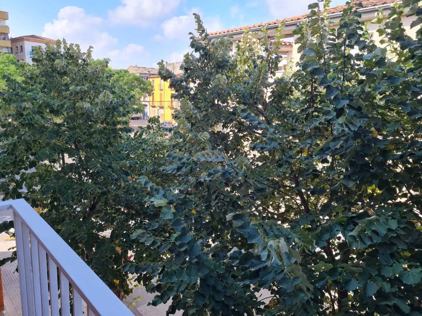 Piso de alquiler en Passeig Verdaguer, Barri Vell