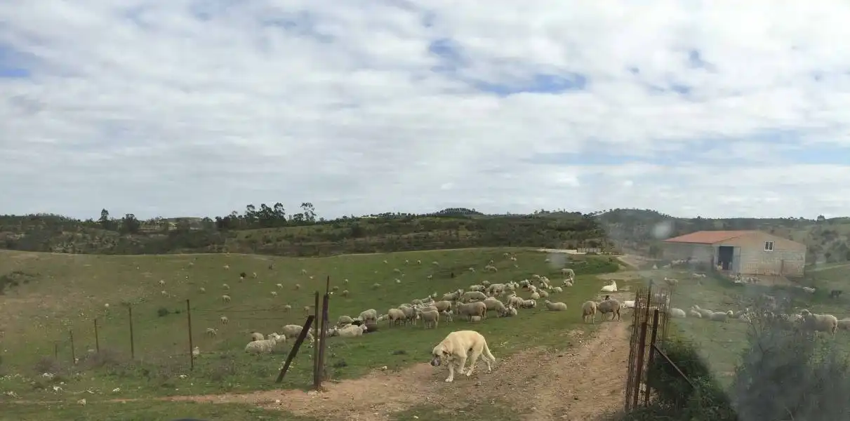 Casa rústica en venda a Valverde del Camino
