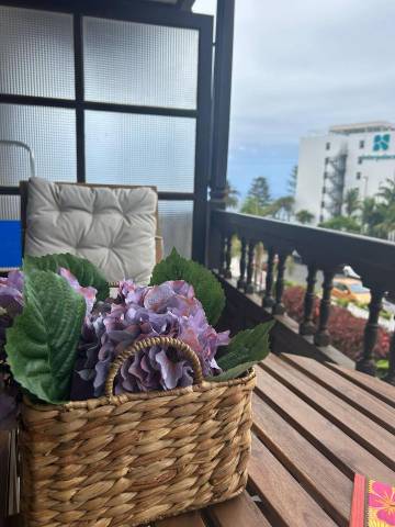 Estudio en Alquiler en Aceviño en Zona Botánico