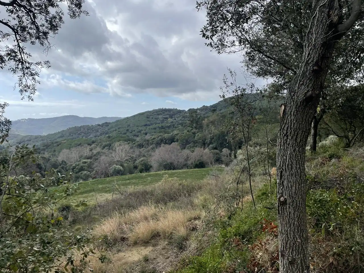 Country homes for sale in Camí de Montnegre, Sant Iscle de Vallalta