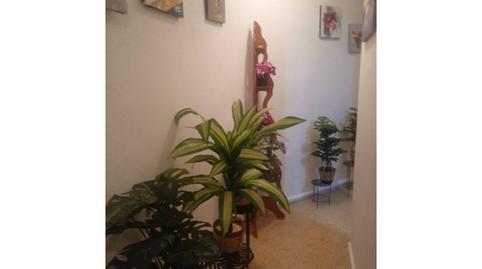 Photo 4 of Flat for sale in Serrería, L'Illa Perduda, Valencia