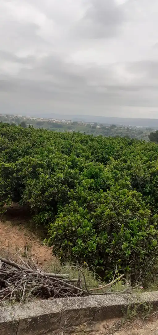 Terreno en venta en Xàtiva