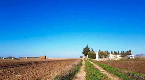 Foto 4 de Terreny en venda a Callejón de Los Llanos, 27a, Los Franceses – La Vega, Cádiz