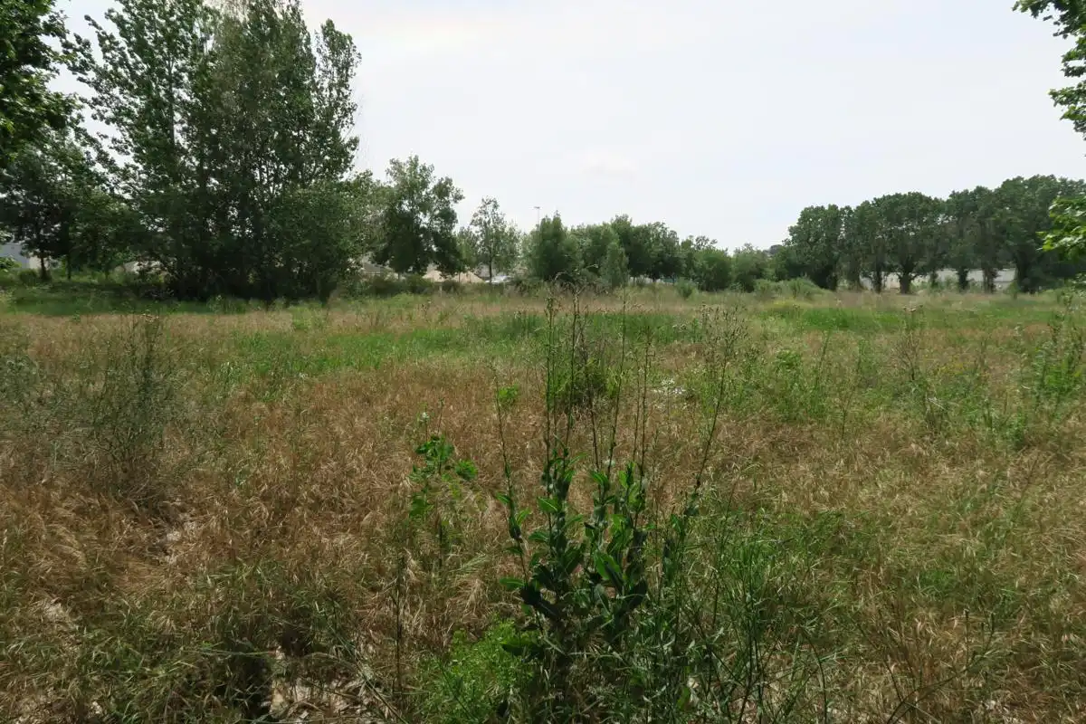 Industrial land for sale in Hostalric
