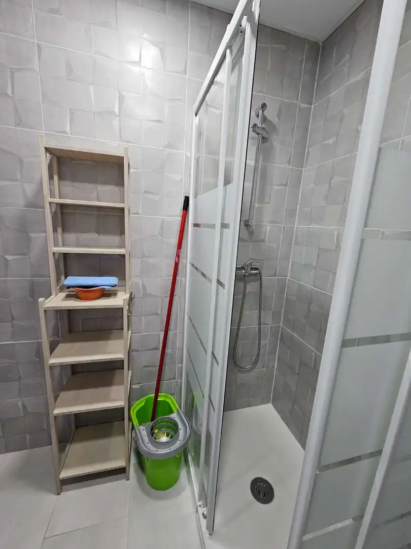 Bathroom of Study for rent in Torremolinos  with Furnished and Pets allowed