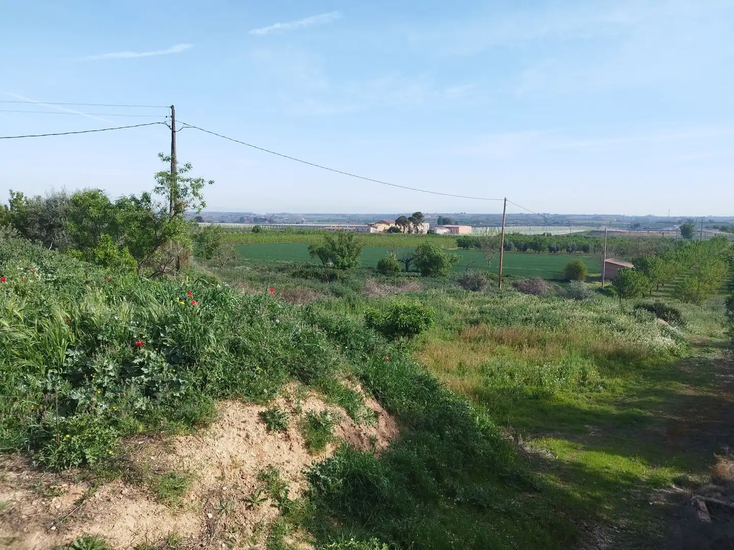 Finca rústica en venda en Castelldans