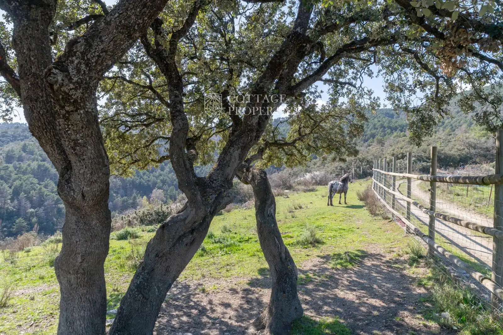 Exterior view of Country homes for sale in Montferrer i Castellbò  with Heating and Terrace