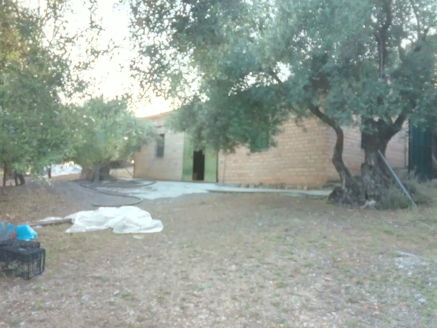 Terreno rústico en venta en Villamartín, imagen 27