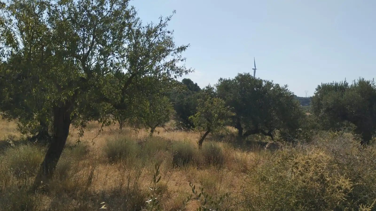 Terreno rústico en venta en Vilalba dels Arcs, imagen 10