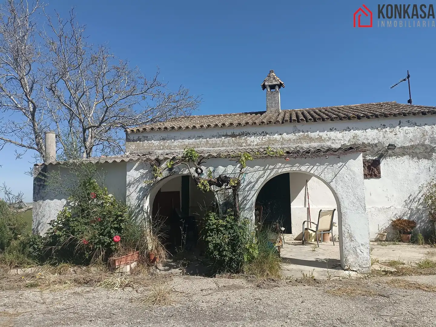 Casa rústica en venda a Arcos de la Frontera, imagen 2