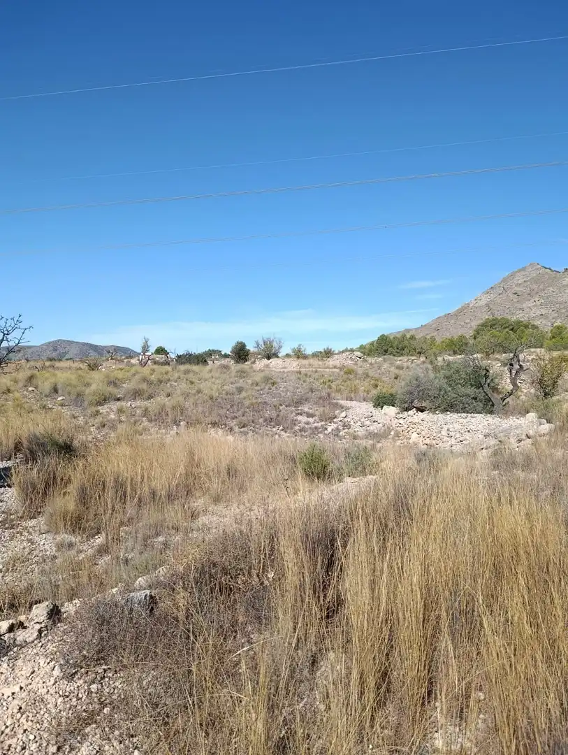 Terreno rustico in vendita a Hondón de las Nieves / El Fondó de les Neus, imagen 10