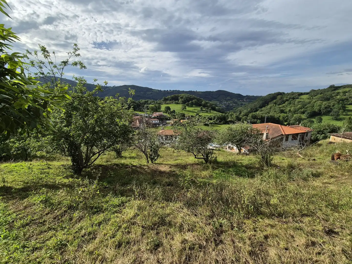 Residential land for sale in Grado, imagen 11