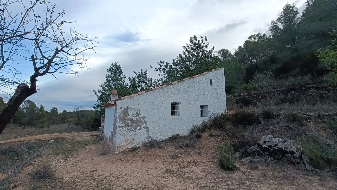 Terreny rústic en venda a Miravet, imagen 16