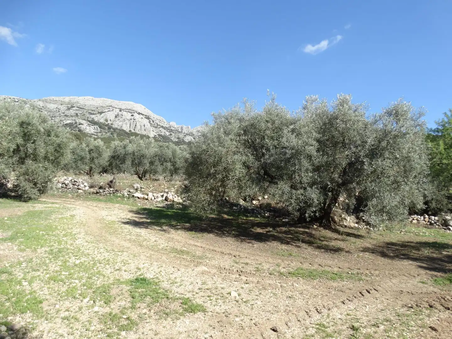 Rustikales Grundstück zum Verkauf in Villanueva del Rosario, imagen 12