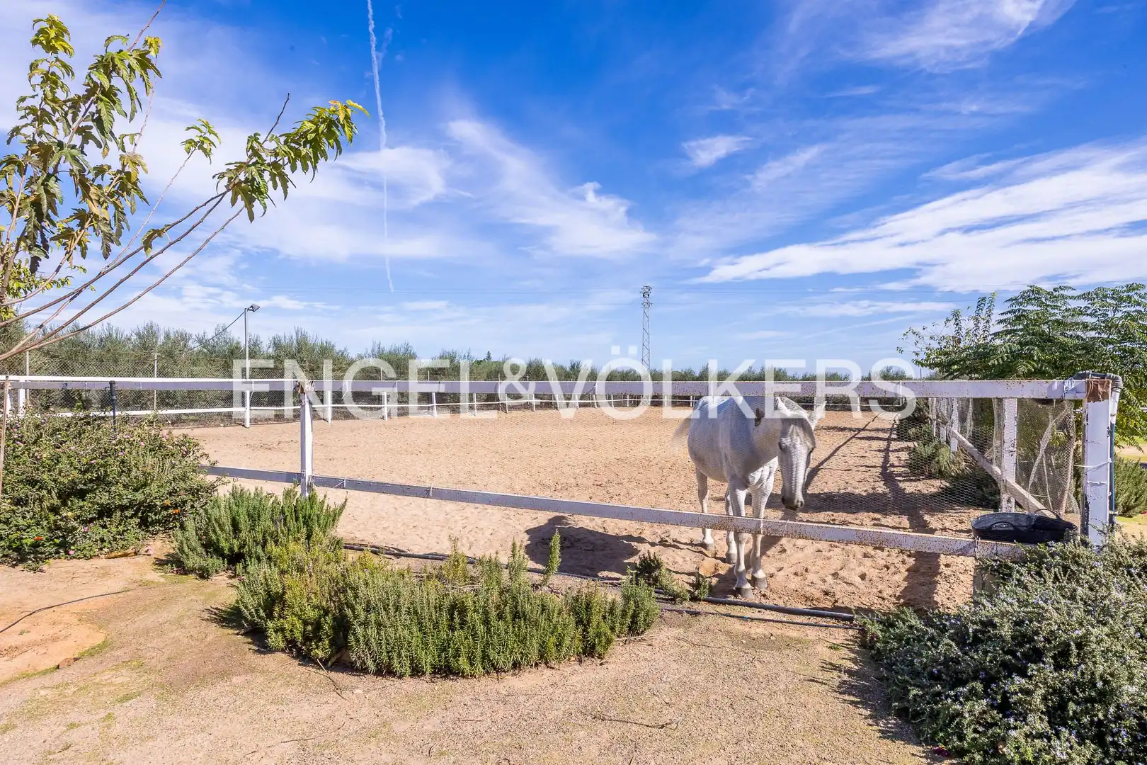 Maison avec jardin à vendre à Bollullos de la Mitación, imagen 20