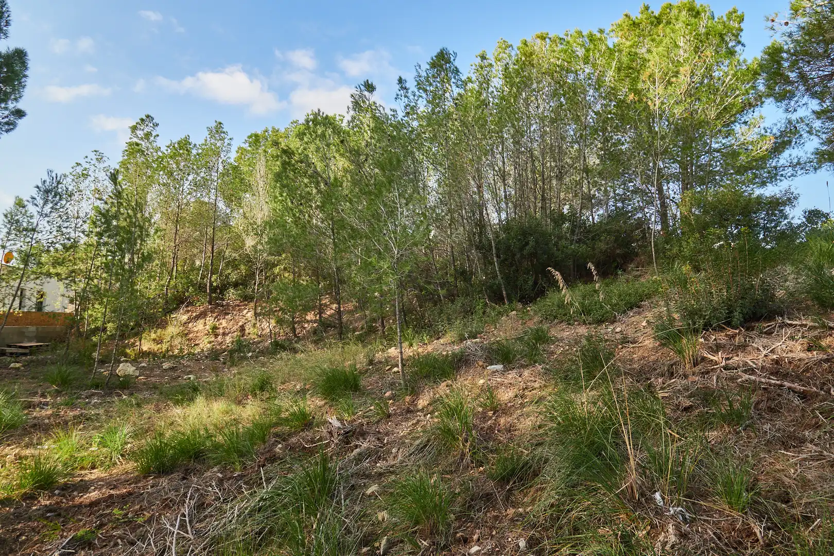 Chalet en venta en Carrerada Reial, imagen 12