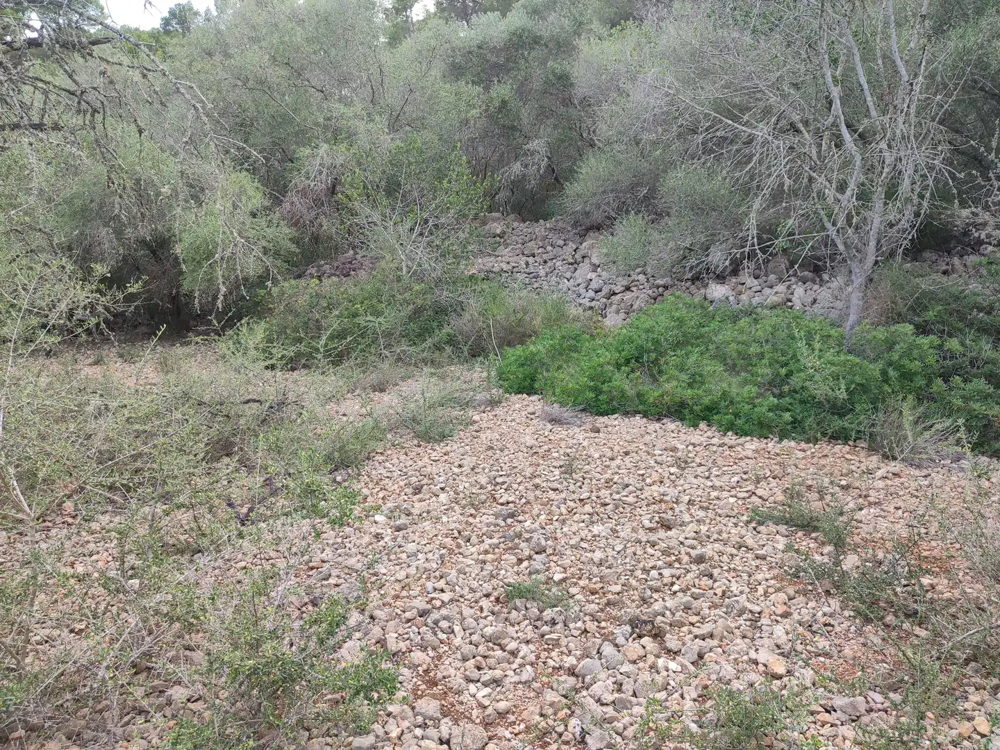 Terrain rustique à vendre à Sant Joan, imagen 7
