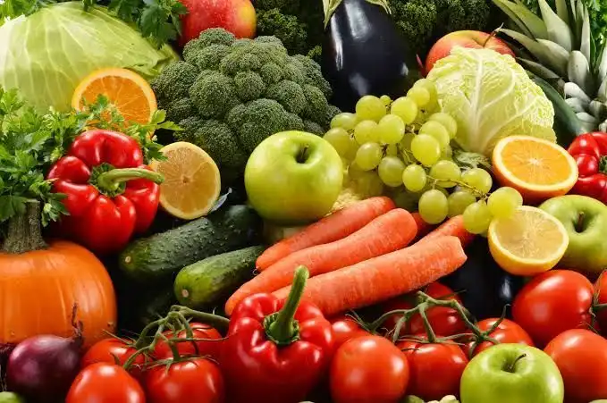 Garten von Geschaftsraum zur Miete in Picanya