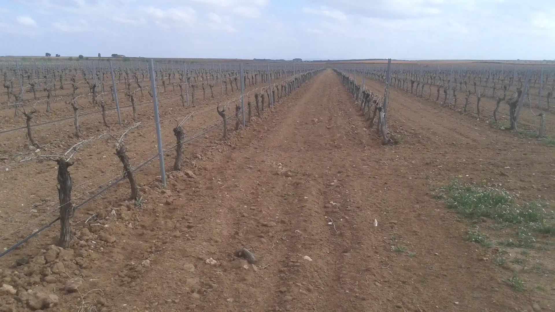 Terrenys i solars en venda a Las Mesas, imagen 23