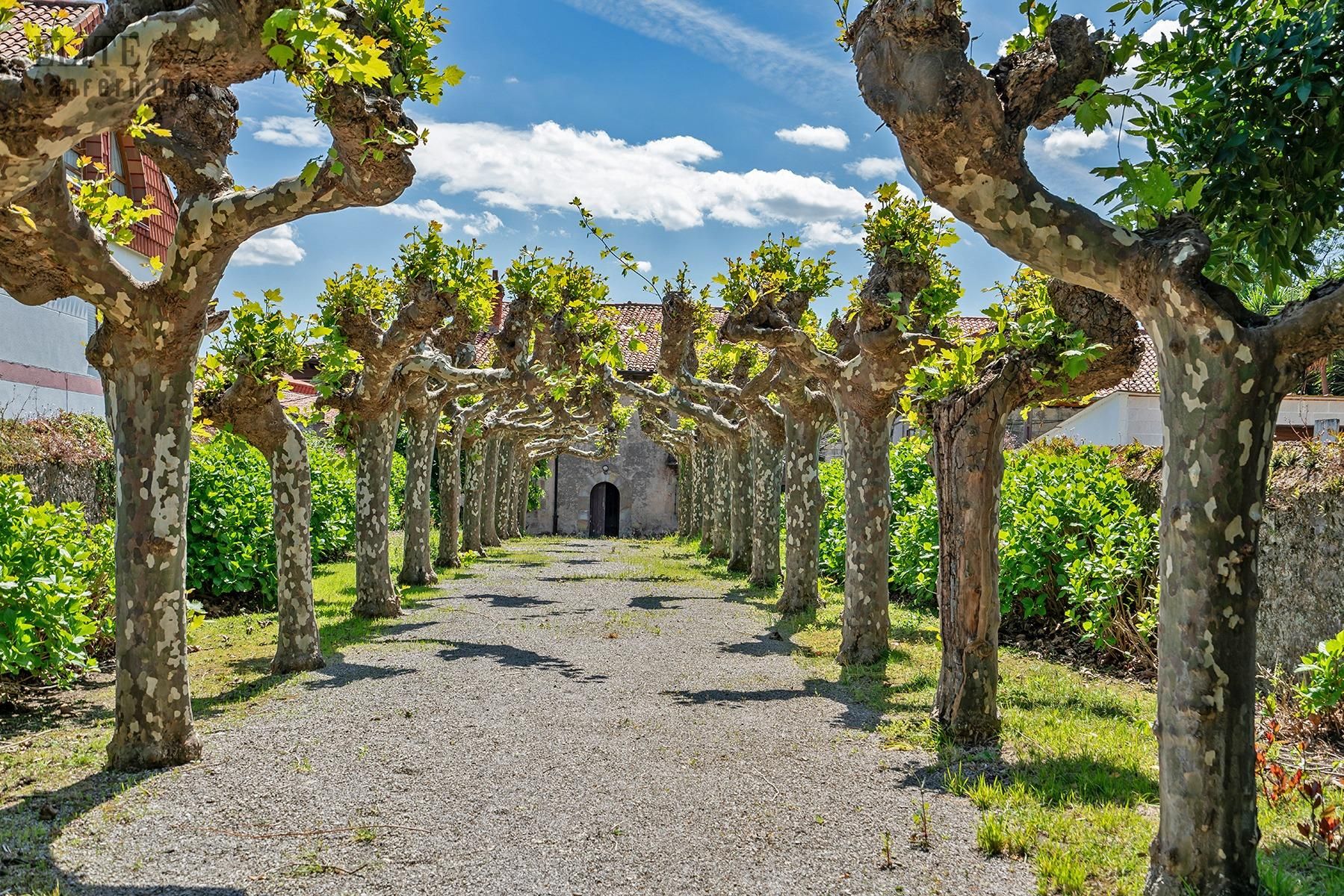 Jardí de Casa o xalet en venda en Polanco amb Jardí privat, Terrassa i Balcó