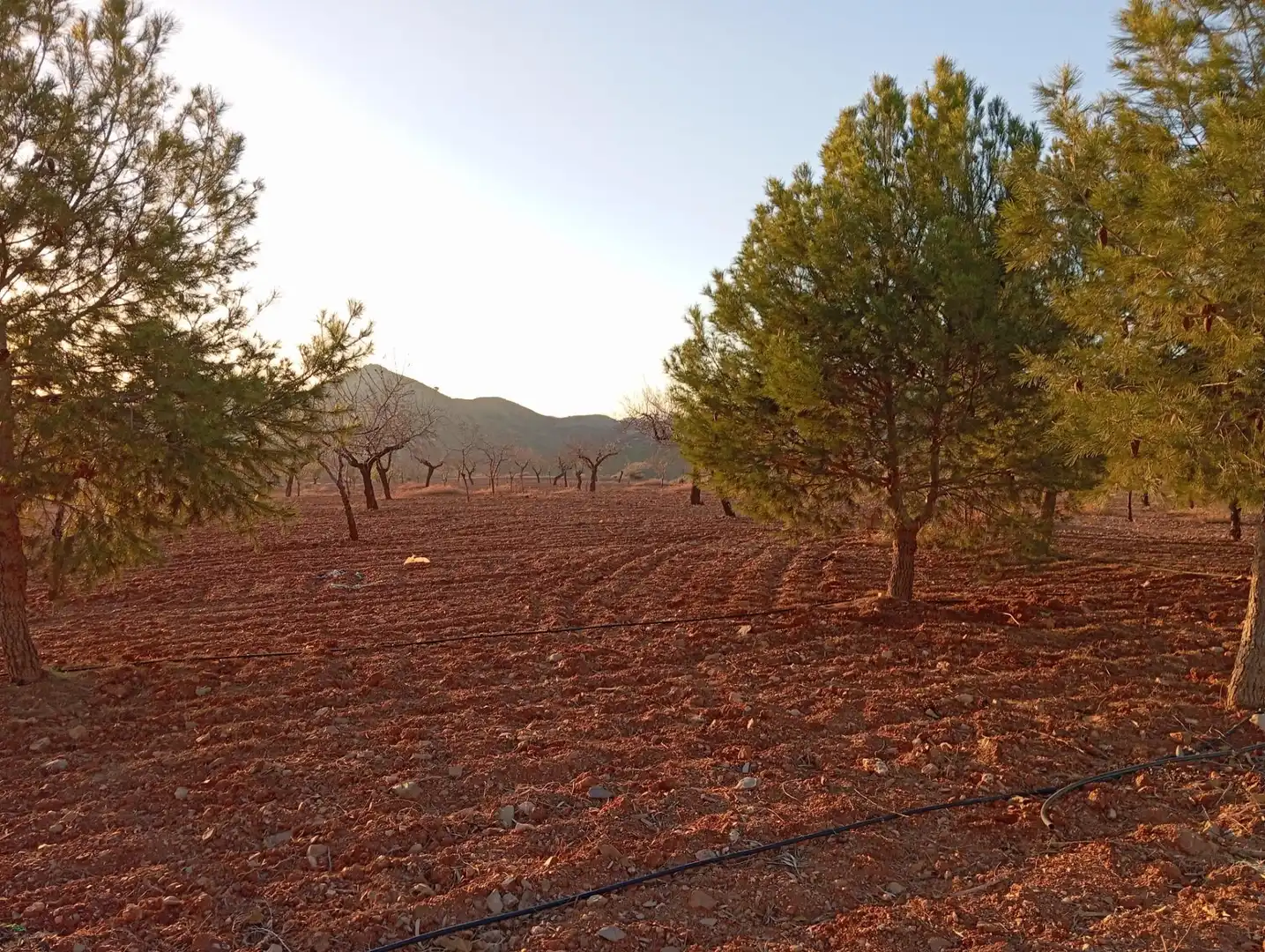 Houses for sale in Bejar