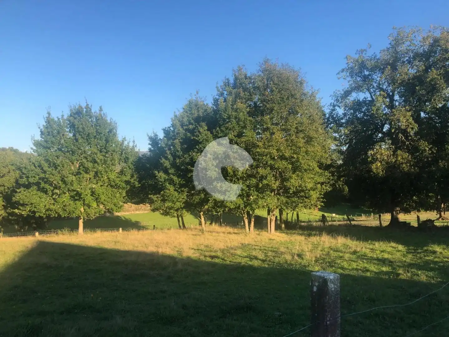 Terreni e lotti in vendita a Nogueira de Ramuín, imagen 15