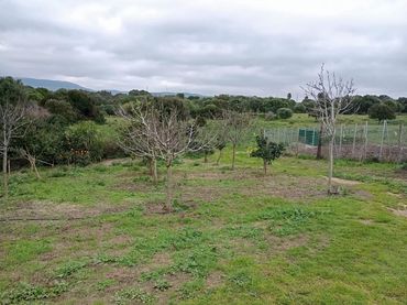 Casa rústica con jardín en venta en Callejón Martín 3