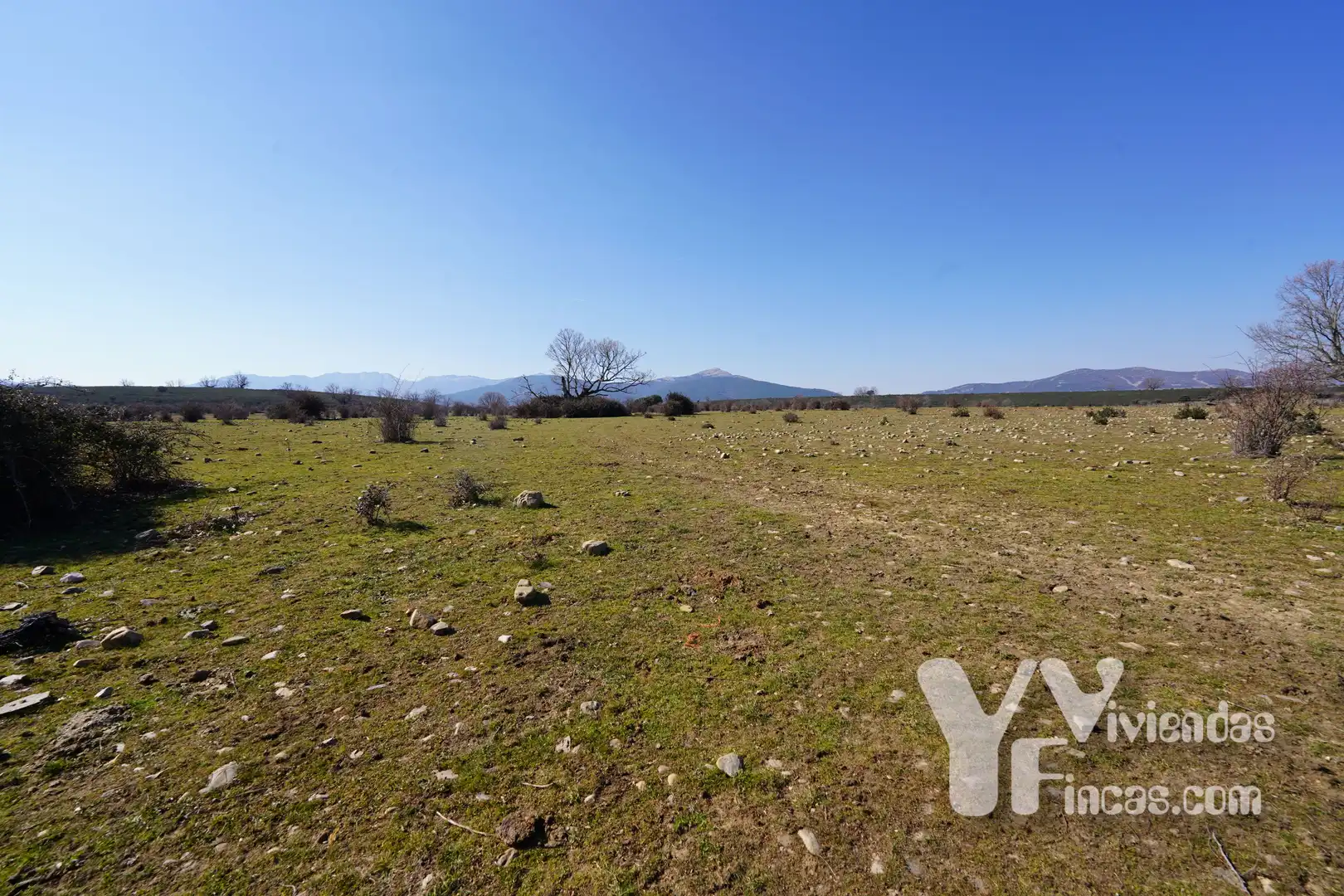 Terreno rústico en venta en Campillo de Ranas, imagen 15
