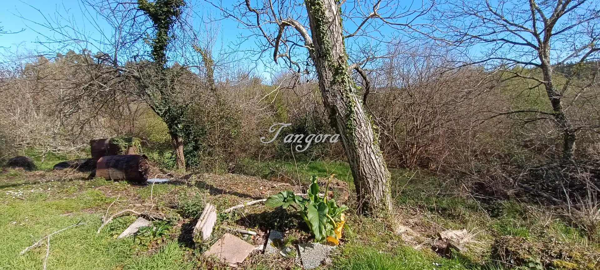 Finca rústica en venda en Morga amb Jardí privat i Balcó