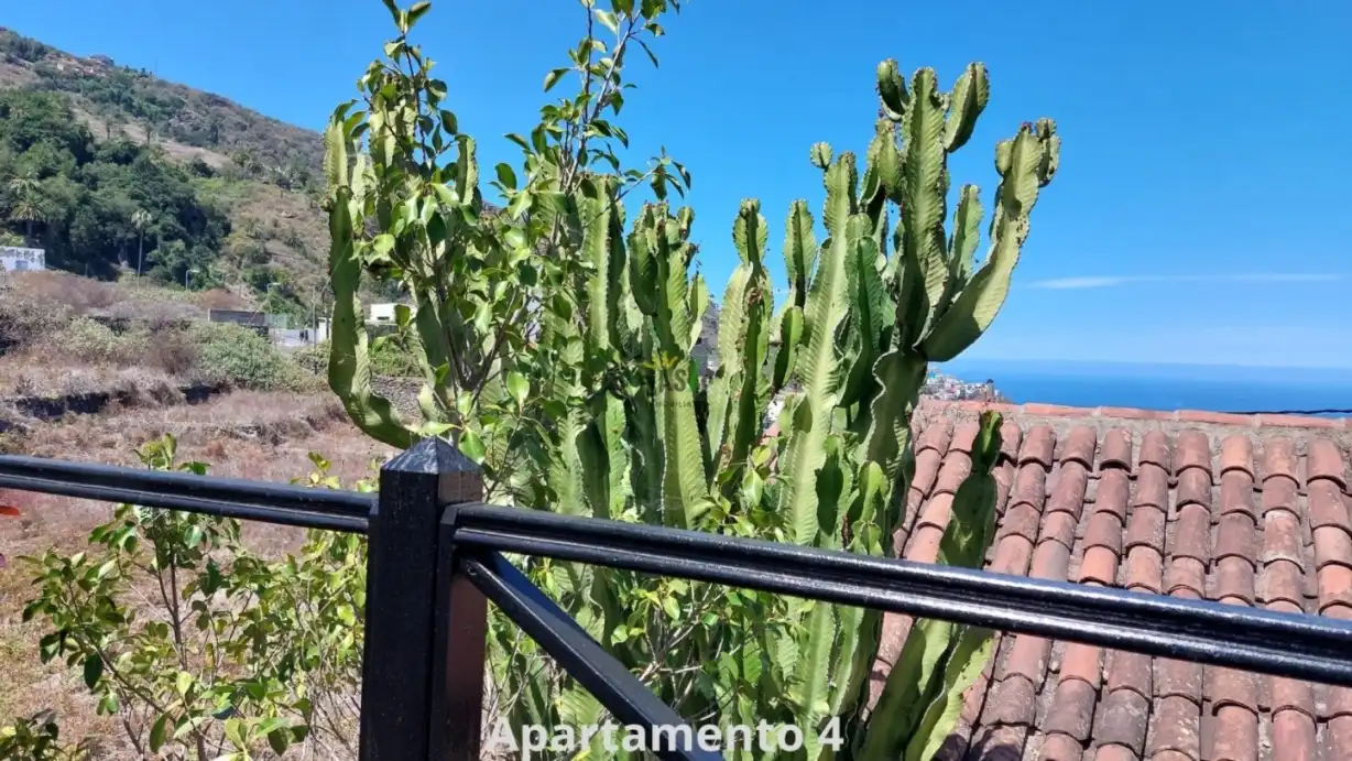 Otros en venta en La Vega - El Amparo - Cueva del Viento, imagen 32