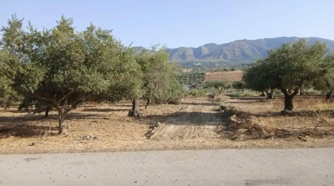 Rural land for sale in Camino la Ramita, Alhaurín de la Torre, Málaga, Spain, imagen 13