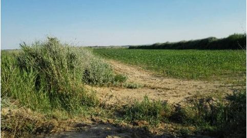 Finca rustica de regadío en venta en Capdesaso, immagine 2