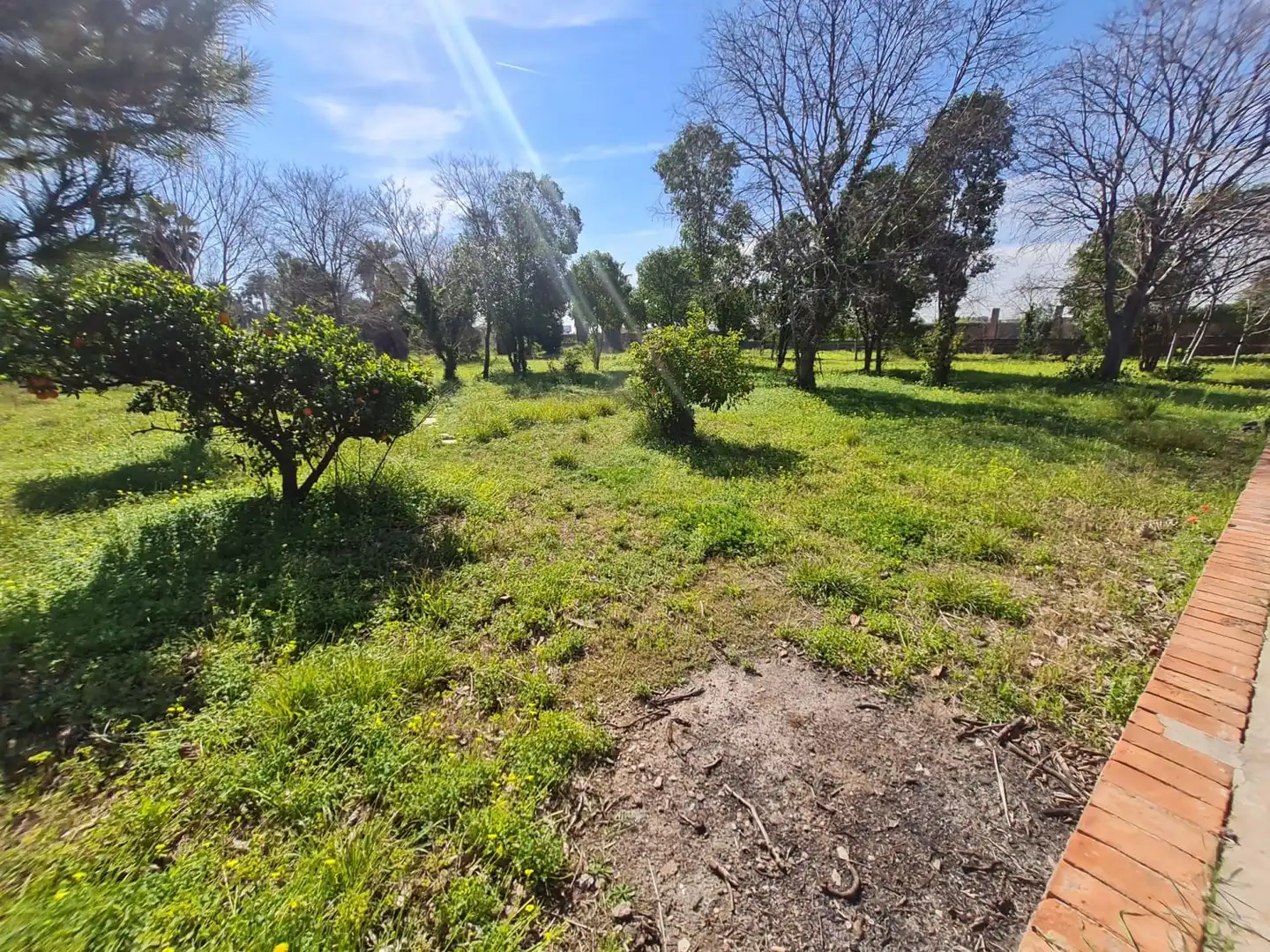 Villa à vendre à San Jaime 97, imagen 4