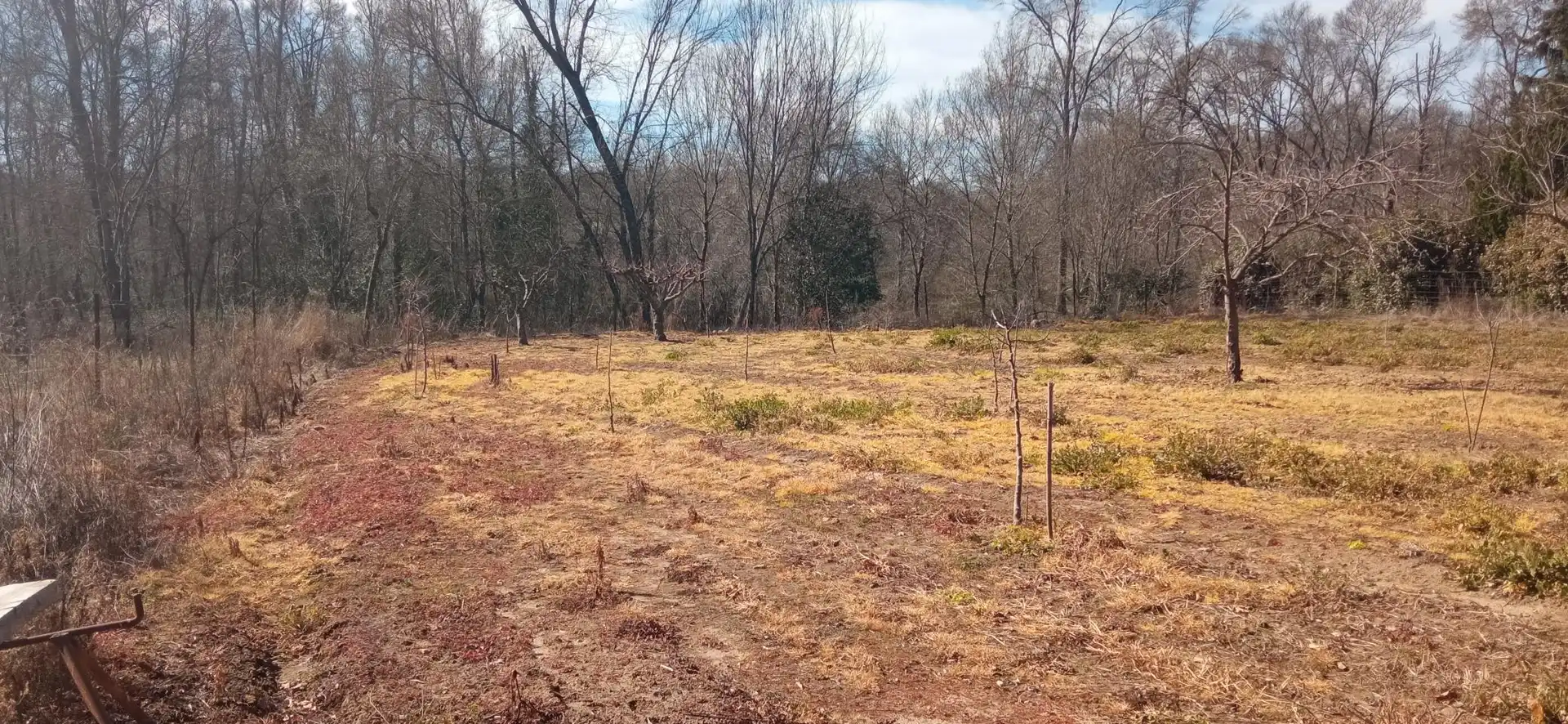 Terreni e lotti in vendita a EX-203 7, imagen 4