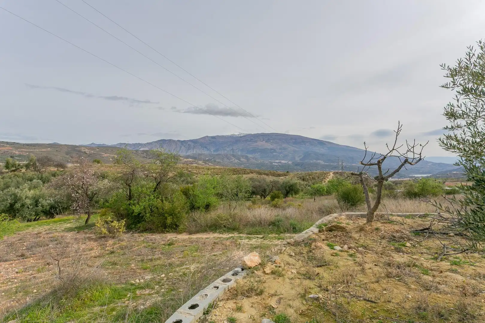 Casa o chalet en venta en Albuñuelas con Aire acondicionado, Jardín privado y Terraza