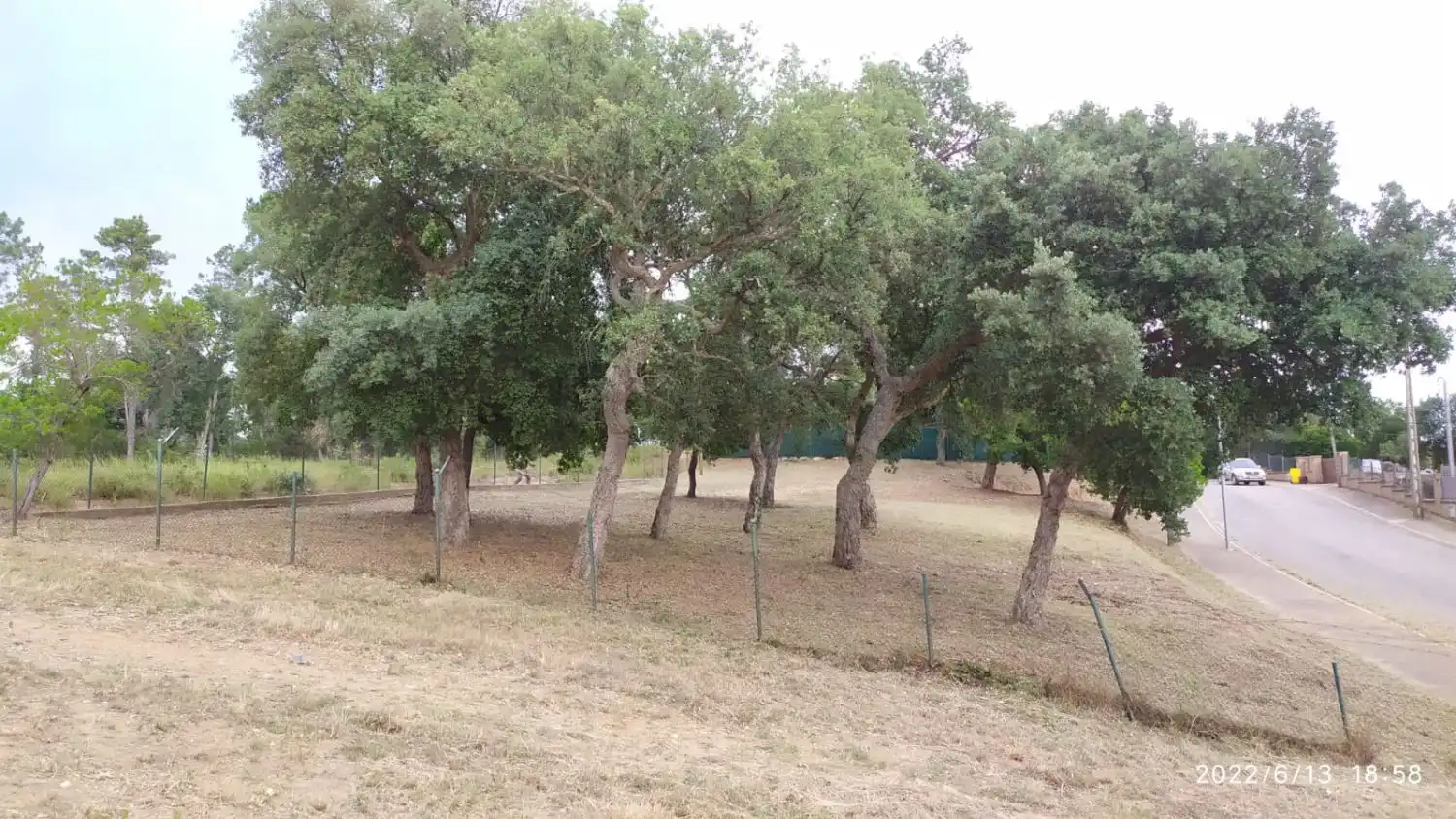 Terreni e lotti in vendita a solsonès, imagen 11