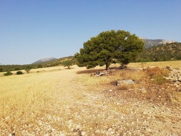 Terreno rustico in vendita a Aguica M Lorca 80