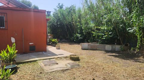 Foto 2 de Finca rústica en venda a Polígono 14, Oliva Nova, Oliva