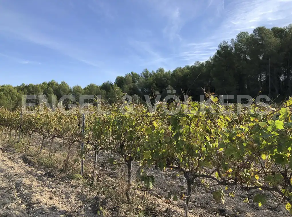Terreny residencial en venda a Avinyonet del Penedès, imagen 19