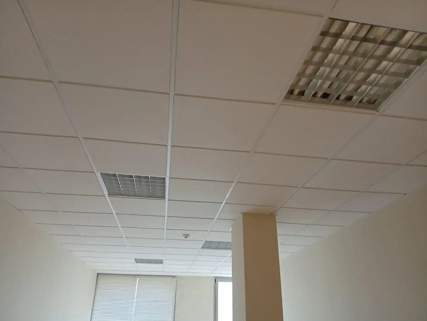 Local comercial en venda a Los Barrios, imagen 13