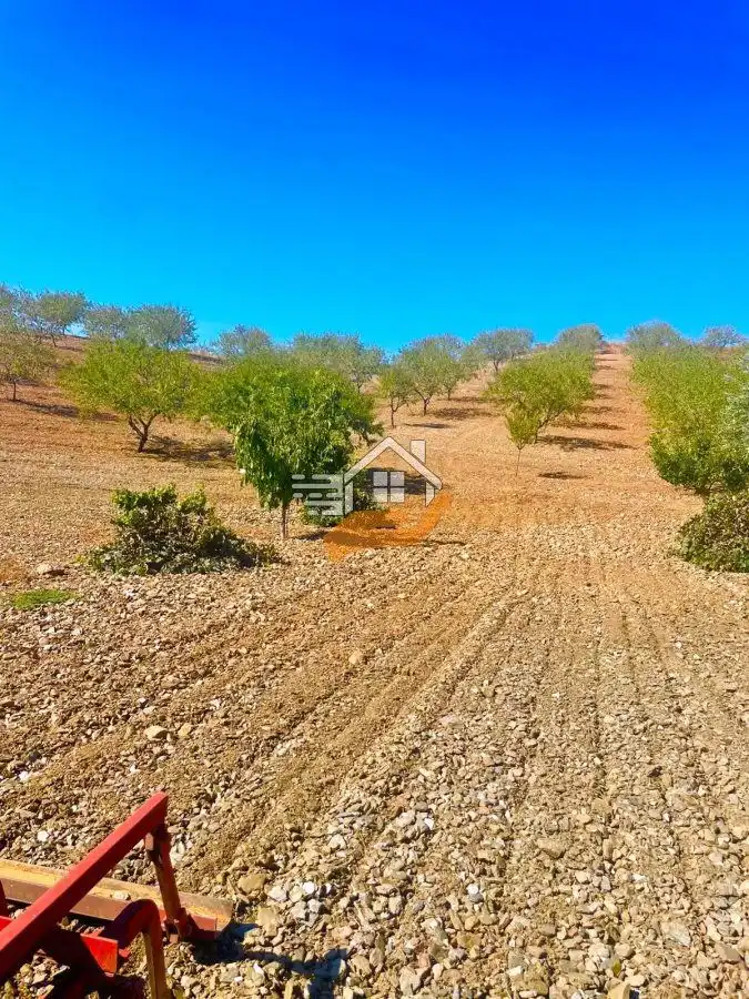 Finca rústica en venta en Lorca