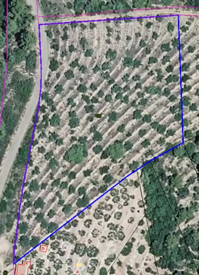 Terreny rústic en venda a Vilafamés, imagen 9