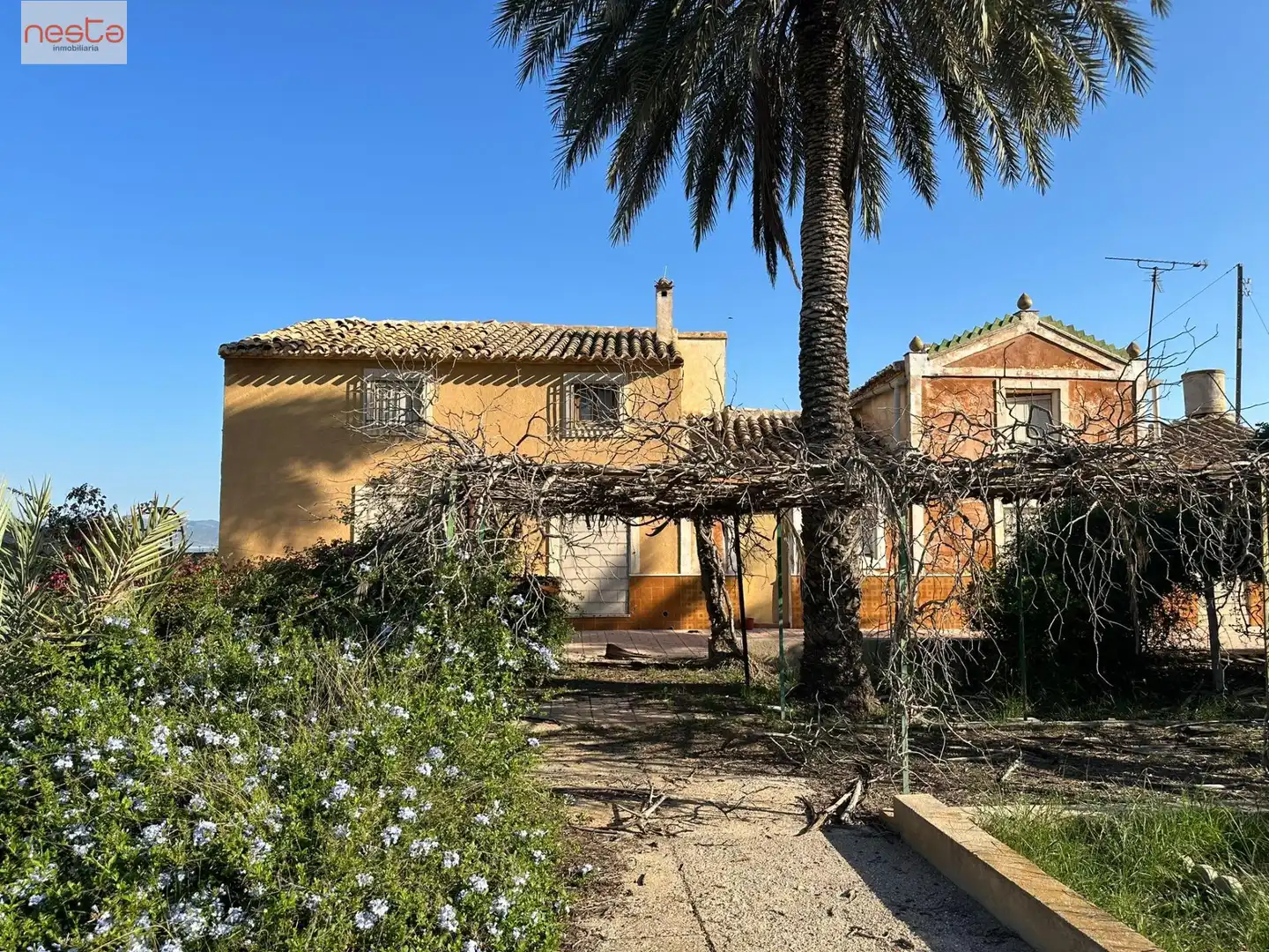 Terreni e lotti in vendita a Pedanías Sur