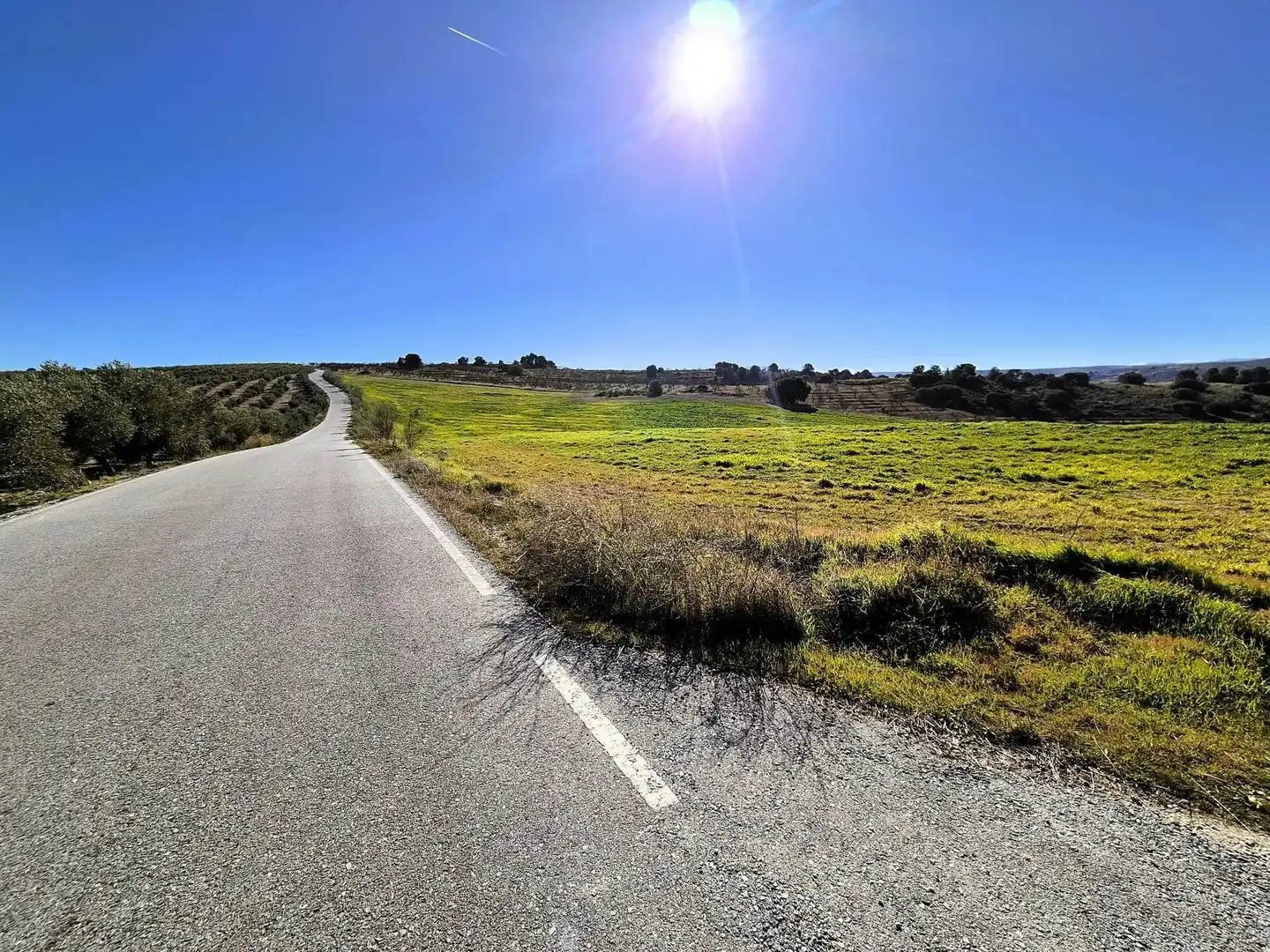 Rural land for sale in Alhama de Granada, imagen 3