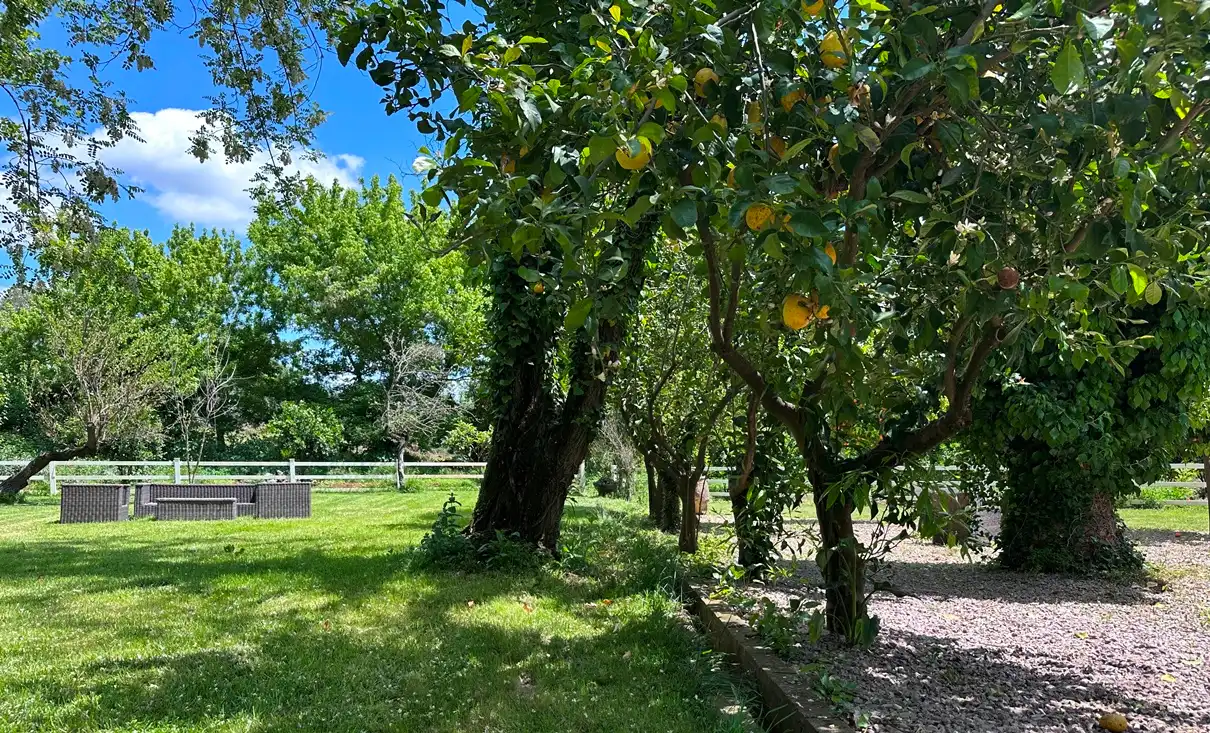 Casa con piscina en venta en Aracena, imagen 35