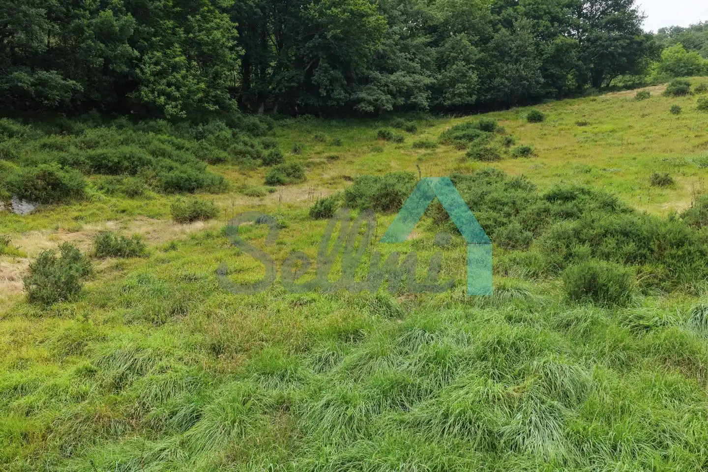 Land for sale in Proaza