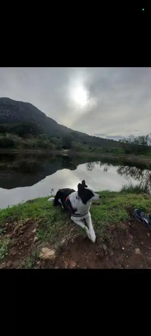 Vista exterior de Finca rústica en venda en Hornachos amb Balcó