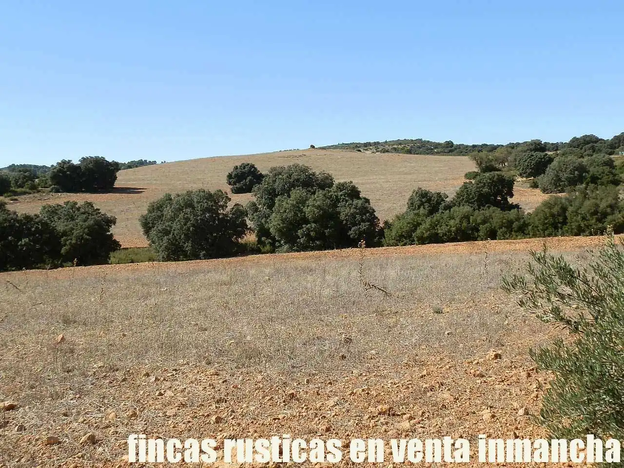 Terreno en venta en Albacete