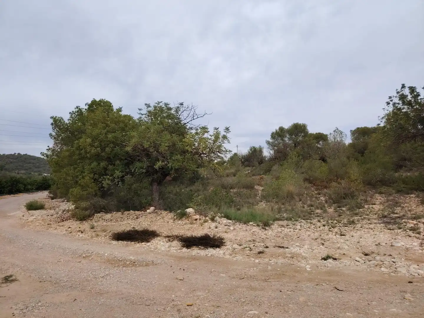 Terreny rústic en venda a Santa Bárbara, imagen 4