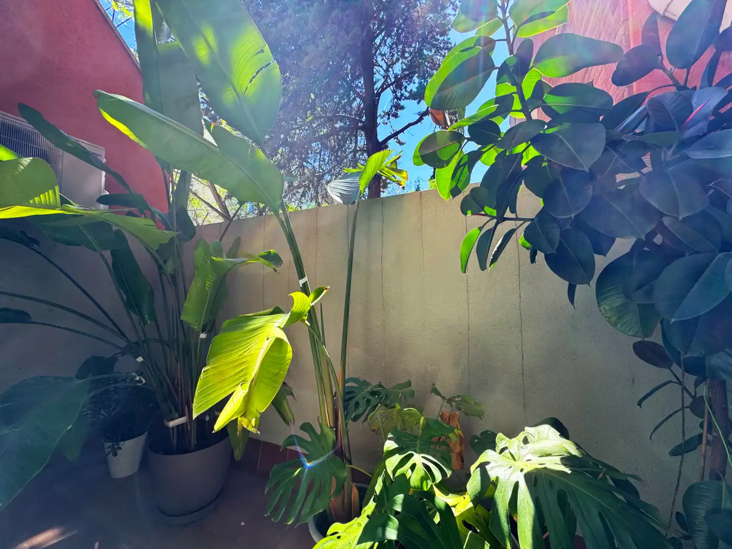 Jardí de Local en venda en Barcelona amb Aire condicionat, Internet i Domòtica